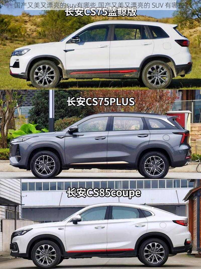 国产又美又漂亮的suv有哪些,国产又美又漂亮的 SUV 有哪些？