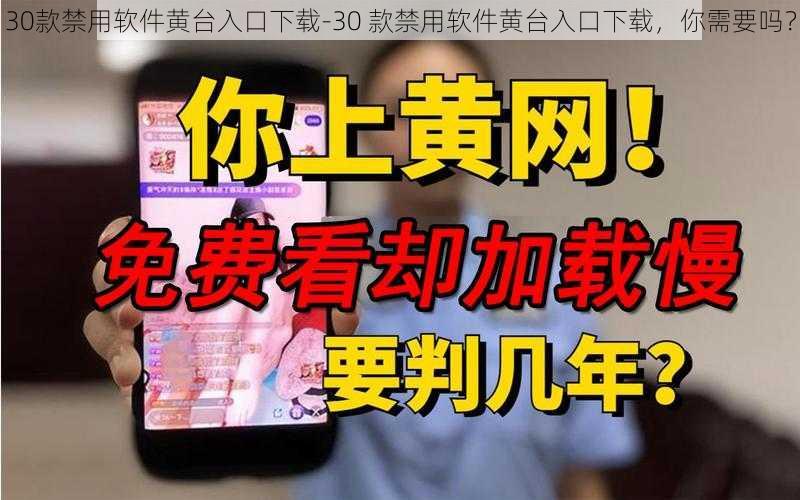 30款禁用软件黄台入口下载-30 款禁用软件黄台入口下载，你需要吗？