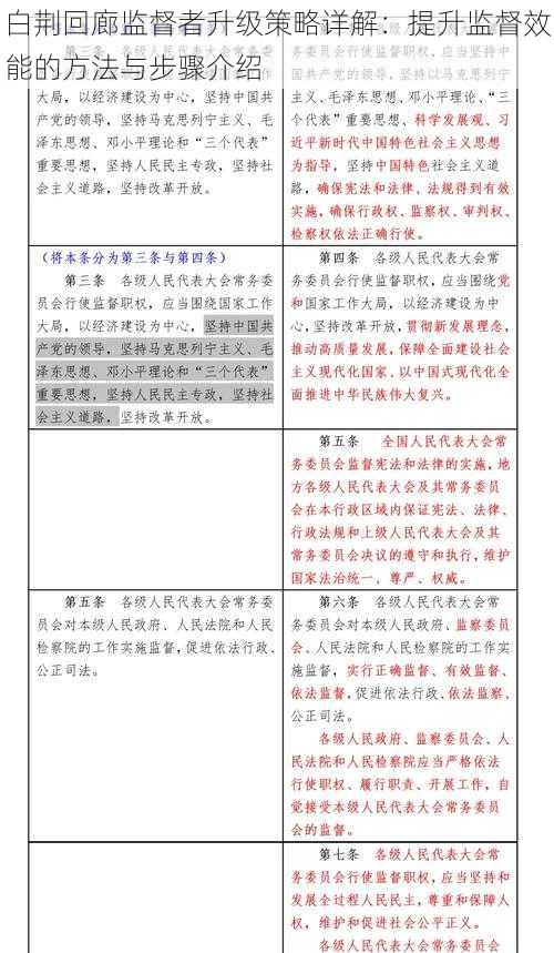 白荆回廊监督者升级策略详解：提升监督效能的方法与步骤介绍