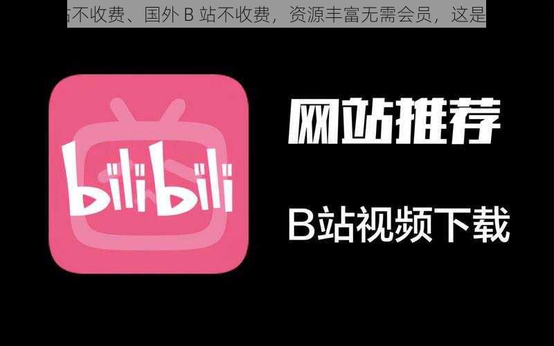 国外B站不收费、国外 B 站不收费，资源丰富无需会员，这是真的吗？