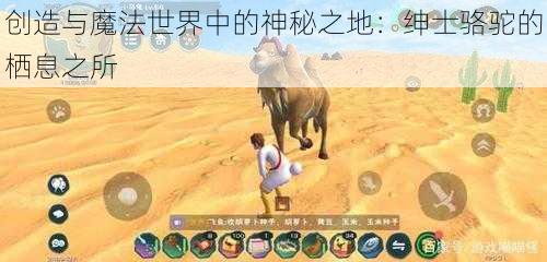 创造与魔法世界中的神秘之地：绅士骆驼的栖息之所