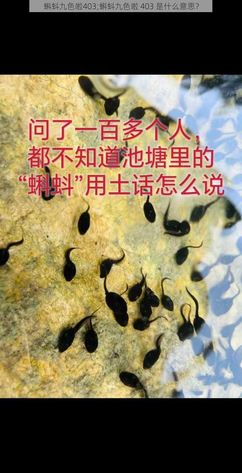 蝌蚪九色啦403;蝌蚪九色啦 403 是什么意思？