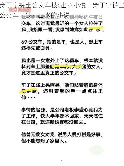 穿丁字裤坐公交车被c出水小说、穿丁字裤坐公交车，被 c 出水的小说