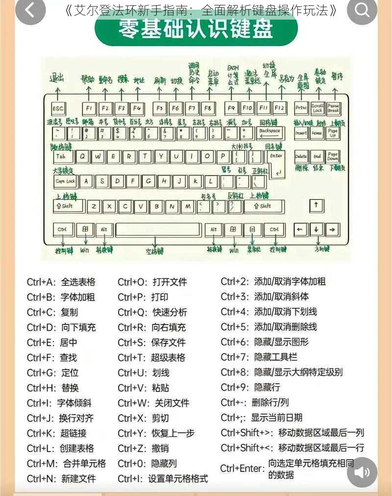 《艾尔登法环新手指南：全面解析键盘操作玩法》