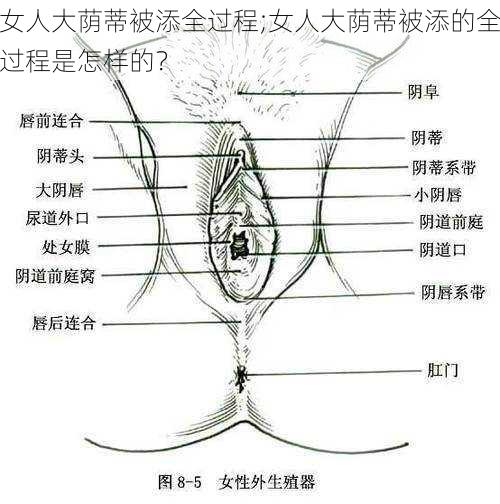 女人大荫蒂被添全过程;女人大荫蒂被添的全过程是怎样的？