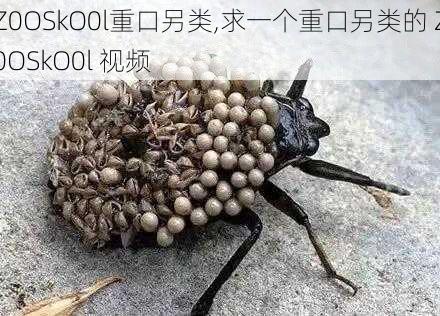 Z0OSkO0l重口另类,求一个重口另类的 Z0OSkO0l 视频