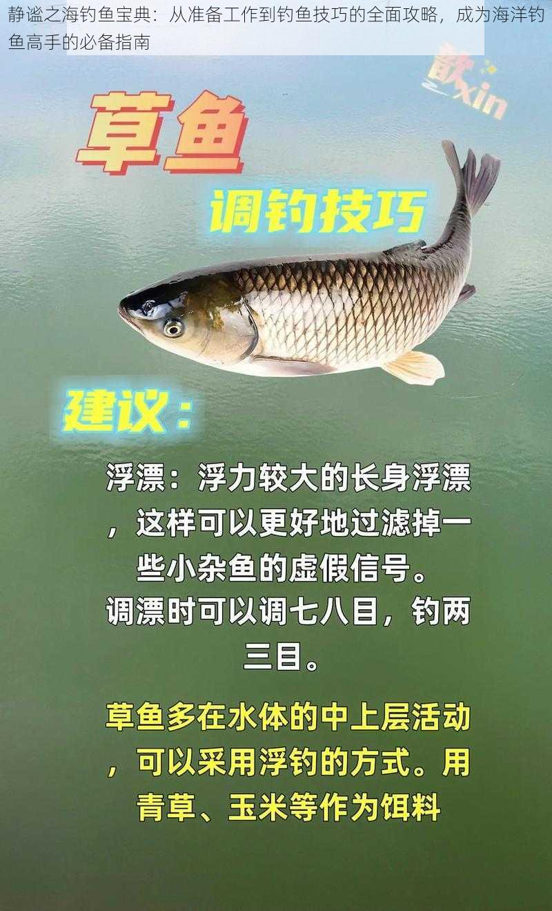 静谧之海钓鱼宝典：从准备工作到钓鱼技巧的全面攻略，成为海洋钓鱼高手的必备指南