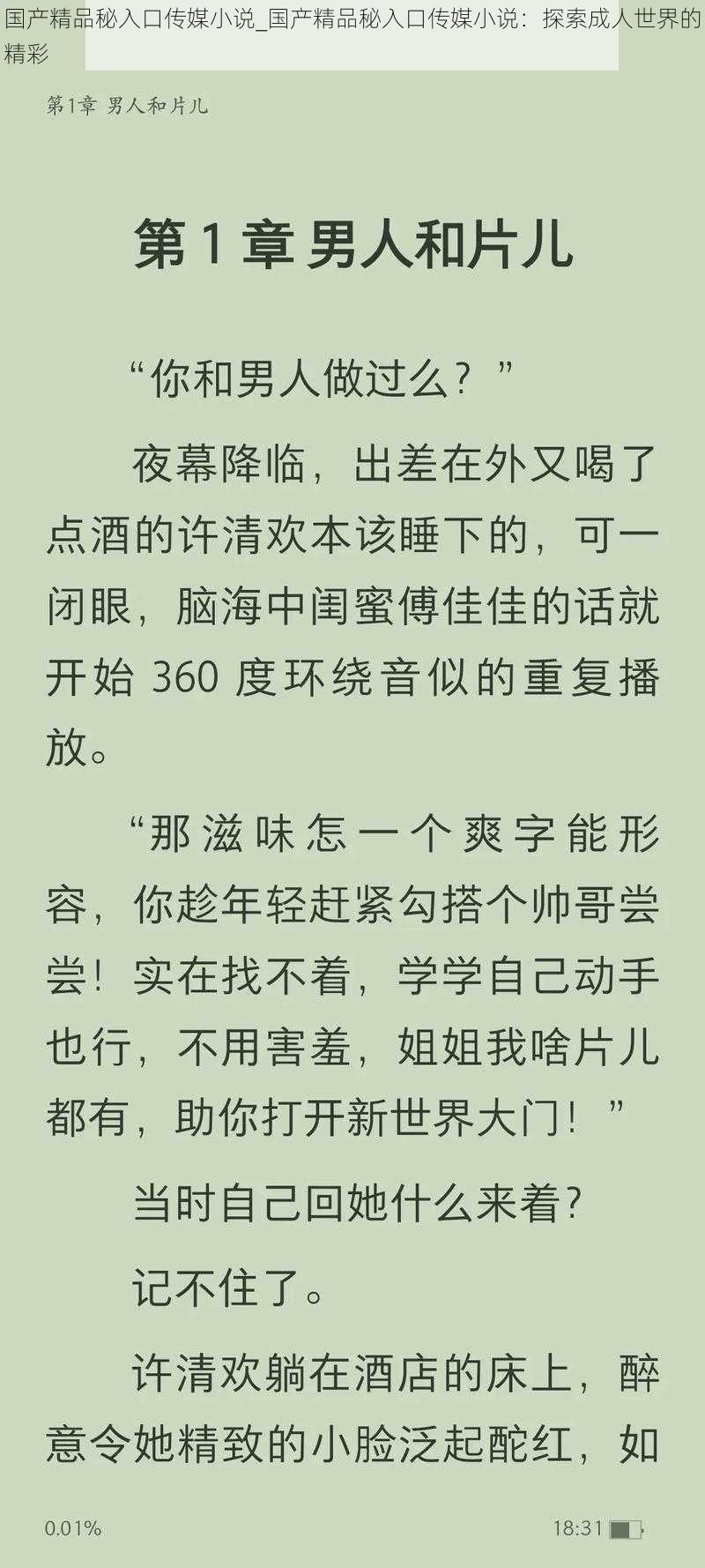 国产精品秘入口传媒小说_国产精品秘入口传媒小说：探索成人世界的精彩