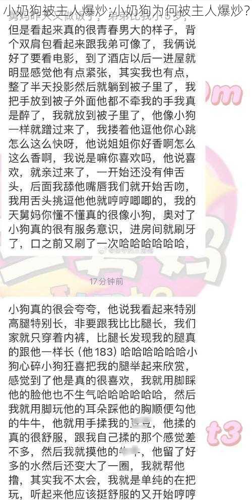 小奶狗被主人爆炒;小奶狗为何被主人爆炒？