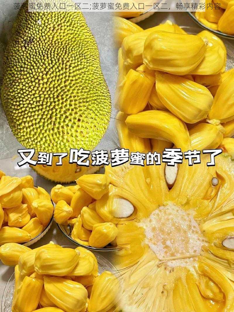 菠萝蜜免费入口一区二;菠萝蜜免费入口一区二，畅享精彩内容