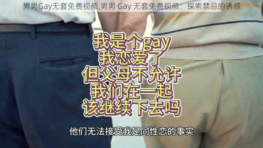 男男Gay无套免费视频,男男 Gay 无套免费视频：探索禁忌的诱惑