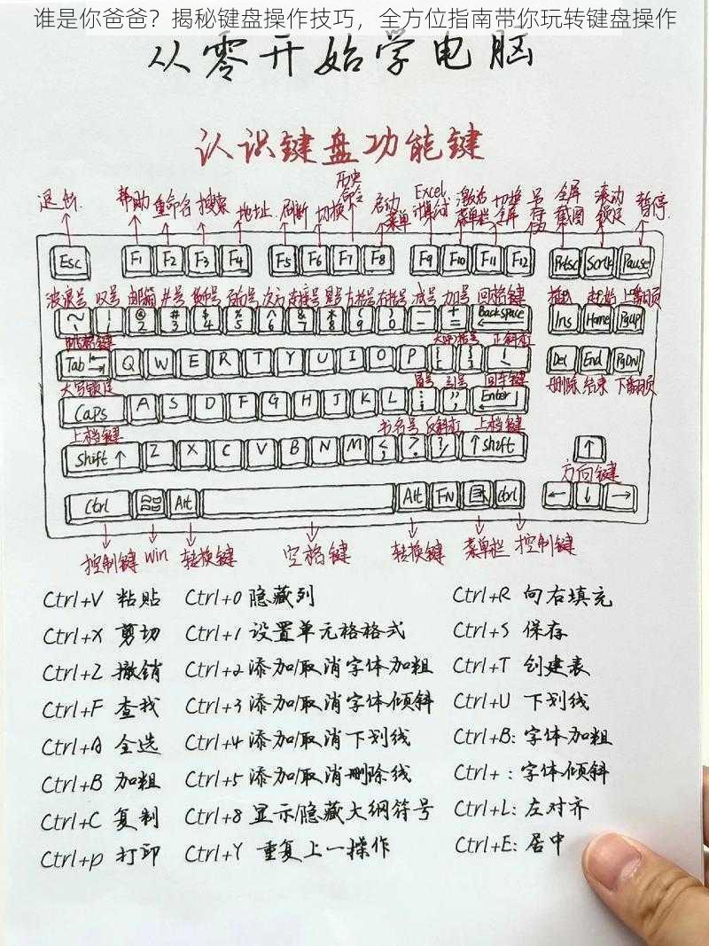 谁是你爸爸？揭秘键盘操作技巧，全方位指南带你玩转键盘操作