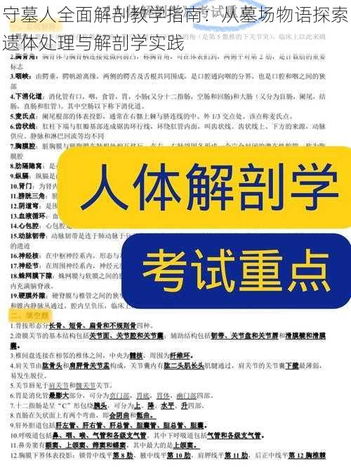 守墓人全面解剖教学指南：从墓场物语探索遗体处理与解剖学实践