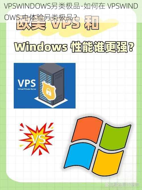 VPSWINDOWS另类极品-如何在 VPSWINDOWS 中体验另类极品？