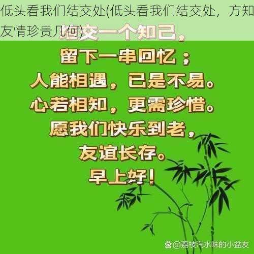 低头看我们结交处(低头看我们结交处，方知友情珍贵几何)