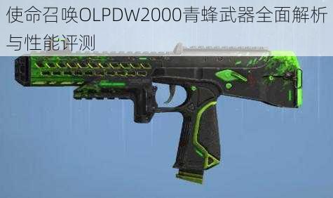 使命召唤OLPDW2000青蜂武器全面解析与性能评测