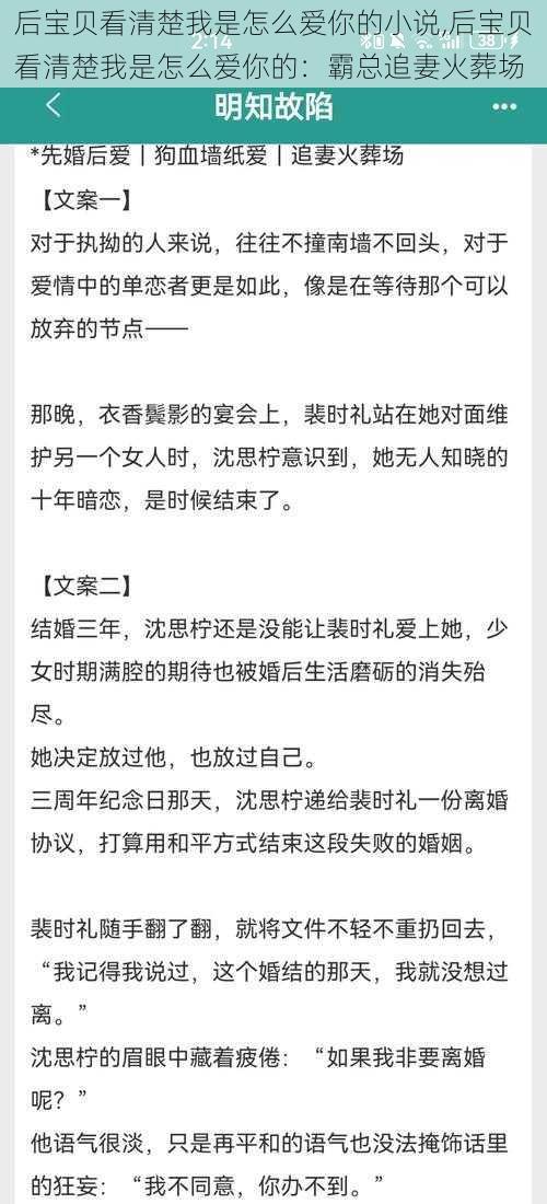 后宝贝看清楚我是怎么爱你的小说,后宝贝看清楚我是怎么爱你的：霸总追妻火葬场