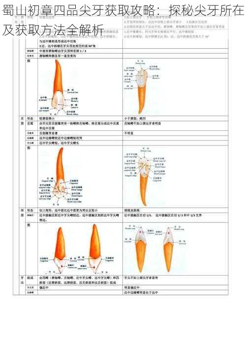 蜀山初章四品尖牙获取攻略：探秘尖牙所在及获取方法全解析