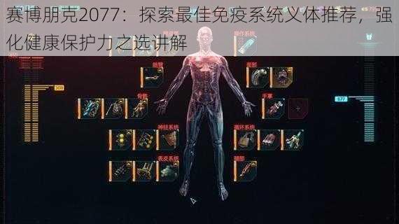 赛博朋克2077：探索最佳免疫系统义体推荐，强化健康保护力之选讲解