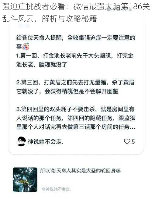 强迫症挑战者必看：微信最强大脑第186关乱斗风云，解析与攻略秘籍