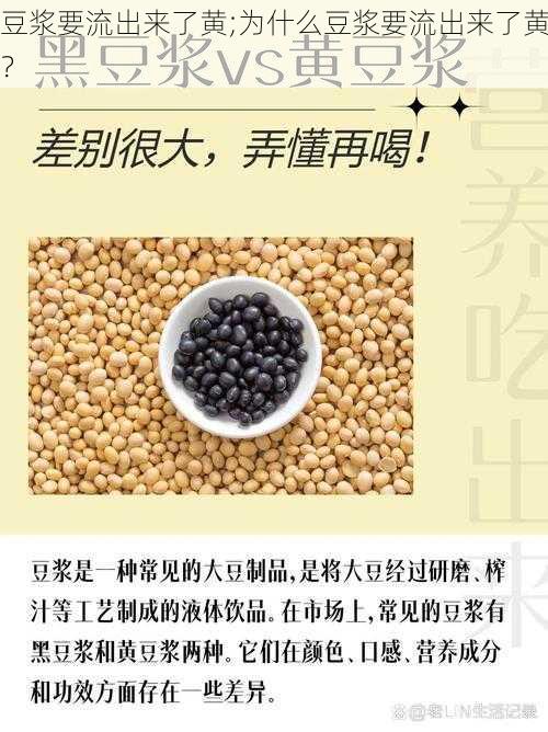 豆浆要流出来了黄;为什么豆浆要流出来了黄？