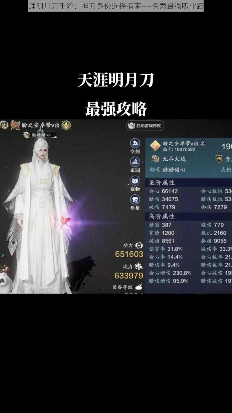 天涯明月刀手游：神刀身份选择指南——探索最强职业路径