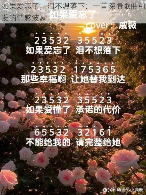 如果爱忘了，泪不想落下：一首深情歌曲引发的情感波澜