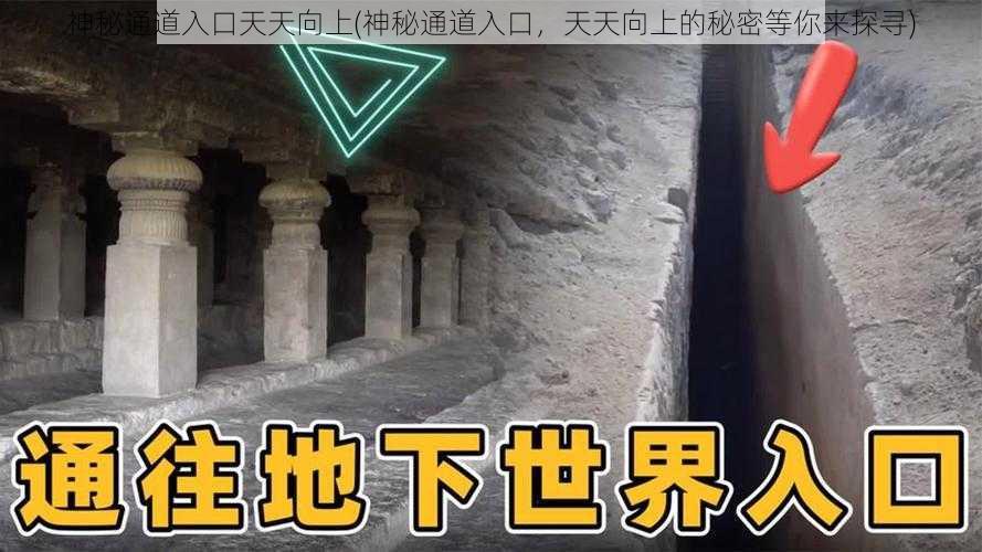 神秘通道入口天天向上(神秘通道入口，天天向上的秘密等你来探寻)