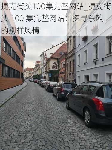 捷克街头100集完整网站_捷克街头 100 集完整网站：探寻东欧的别样风情