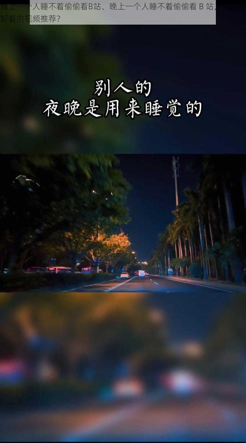 晚上一个人睡不着偷偷看B站、晚上一个人睡不着偷偷看 B 站，有哪些好看的视频推荐？