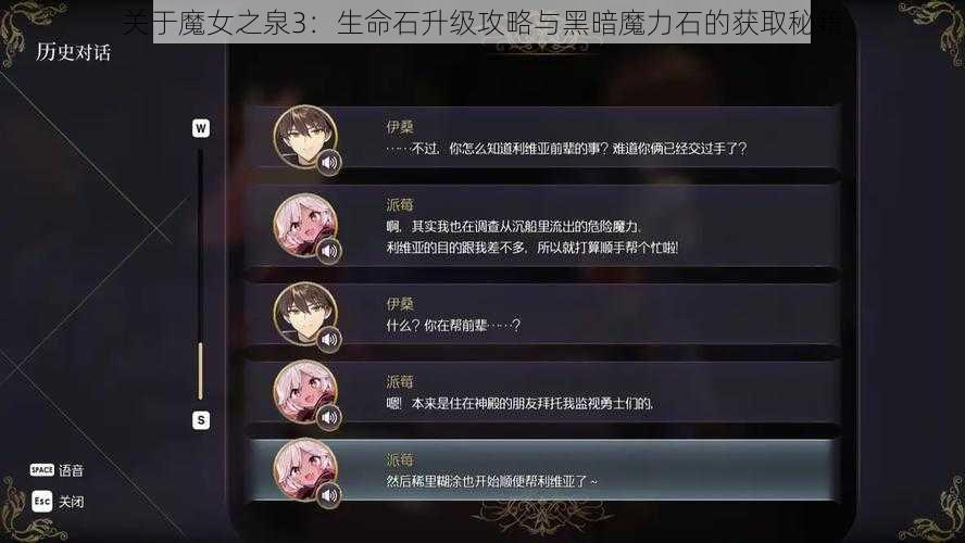 关于魔女之泉3：生命石升级攻略与黑暗魔力石的获取秘籍