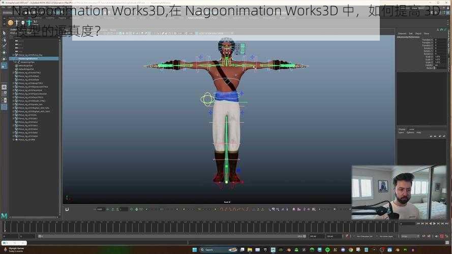 Nagoonimation Works3D,在 Nagoonimation Works3D 中，如何提高 3D 模型的逼真度？