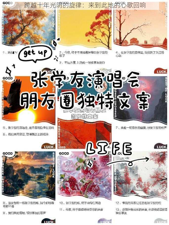 跨越十年光阴的旋律：来到此地的心歌回响