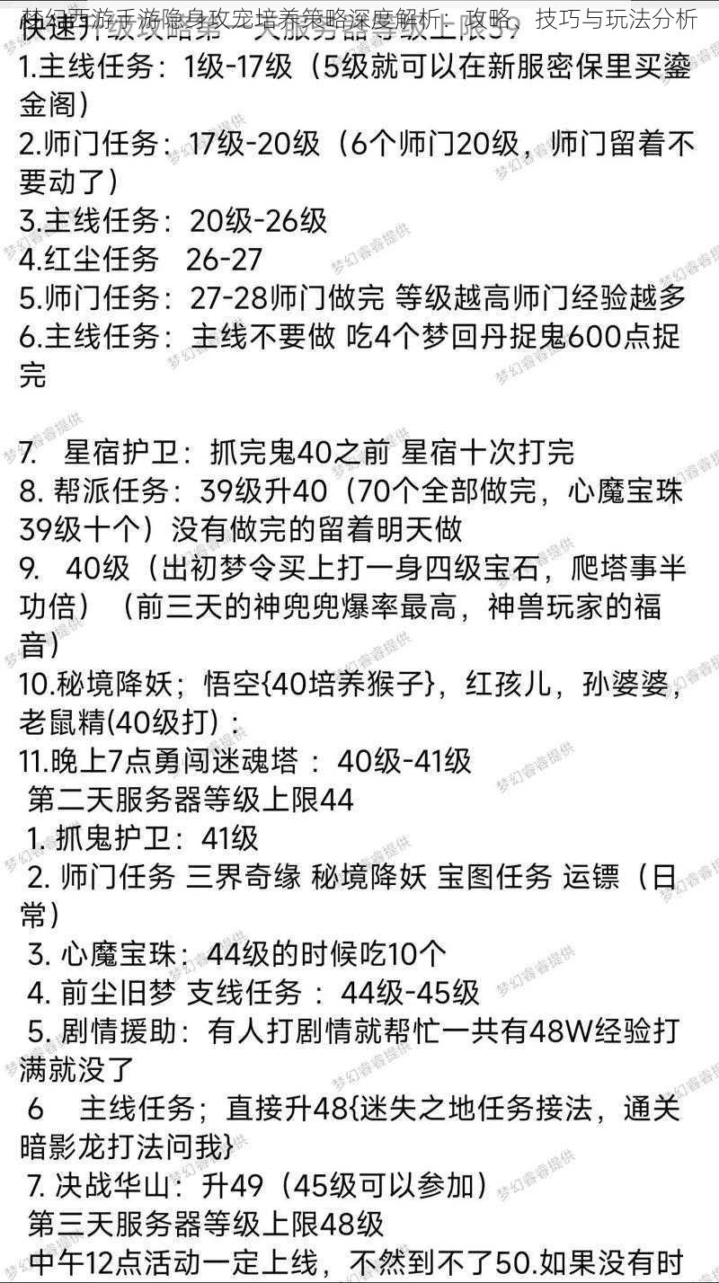 梦幻西游手游隐身攻宠培养策略深度解析：攻略、技巧与玩法分析