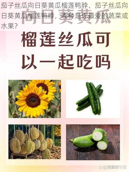 茄子丝瓜向日葵黄瓜榴莲鸭脖、茄子丝瓜向日葵黄瓜榴莲鸭脖，哪种是你最爱的蔬菜或水果？