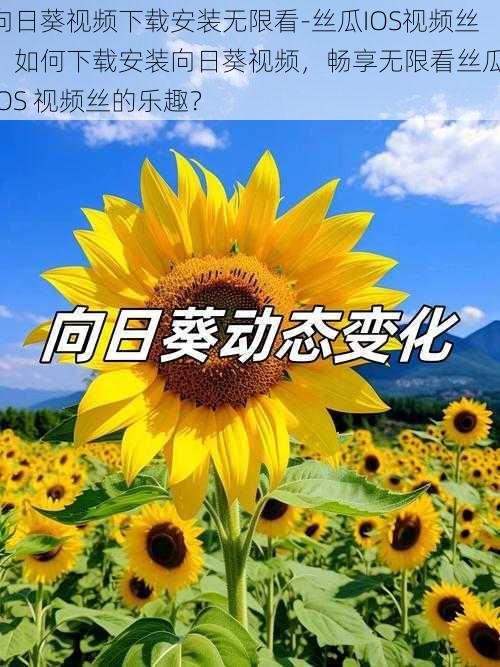 向日葵视频下载安装无限看-丝瓜IOS视频丝、如何下载安装向日葵视频，畅享无限看丝瓜 IOS 视频丝的乐趣？