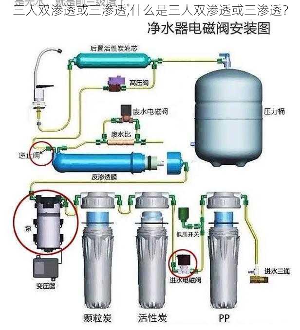 三人双渗透或三渗透,什么是三人双渗透或三渗透？