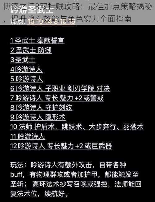 博德之门3双持贼攻略：最佳加点策略揭秘，提升战斗效能与角色实力全面指南