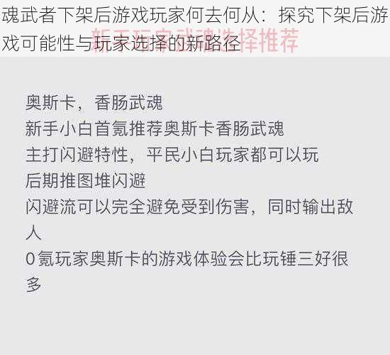 魂武者下架后游戏玩家何去何从：探究下架后游戏可能性与玩家选择的新路径