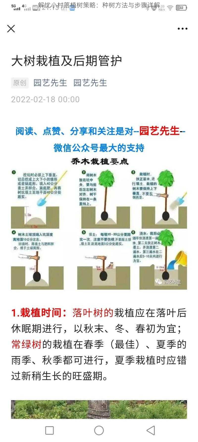 解忧小村落植树策略：种树方法与步骤详解