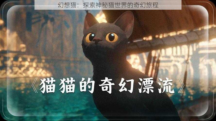 幻想猫：探索神秘猫世界的奇幻旅程