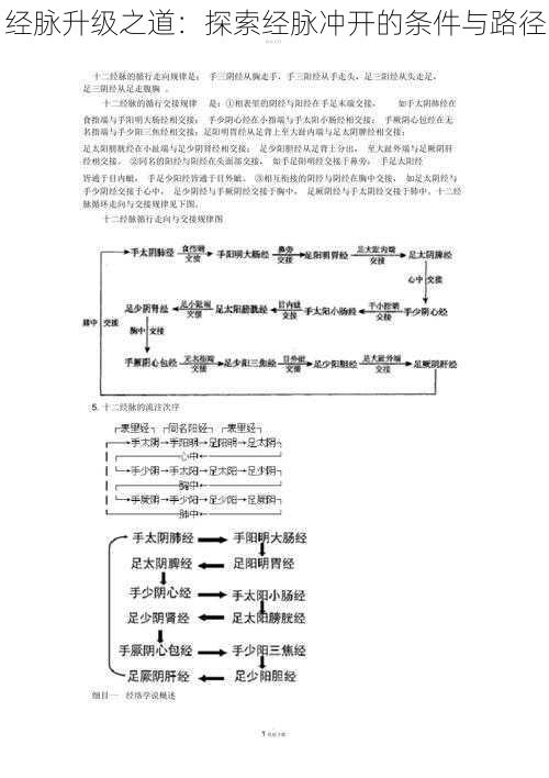 经脉升级之道：探索经脉冲开的条件与路径