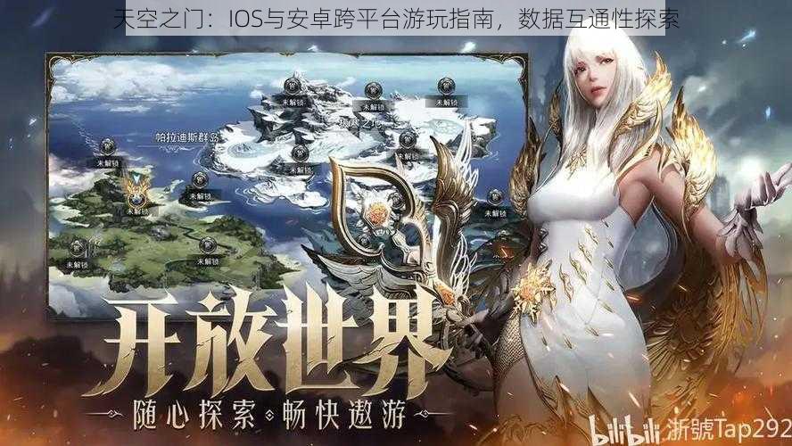 天空之门：IOS与安卓跨平台游玩指南，数据互通性探索