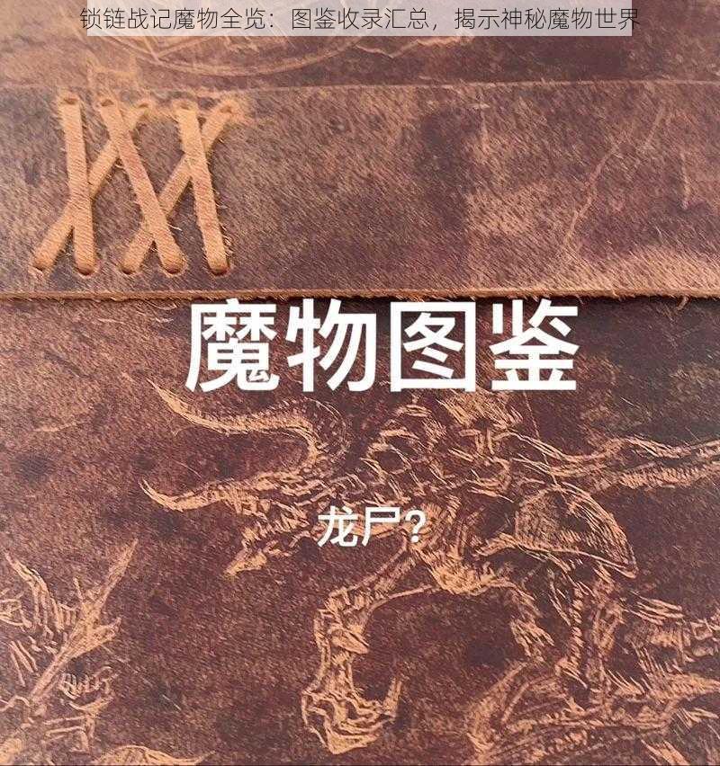 锁链战记魔物全览：图鉴收录汇总，揭示神秘魔物世界