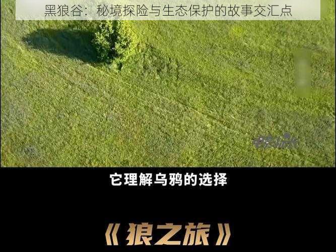 黑狼谷：秘境探险与生态保护的故事交汇点