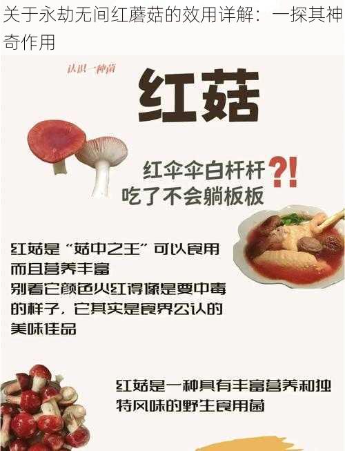 关于永劫无间红蘑菇的效用详解：一探其神奇作用