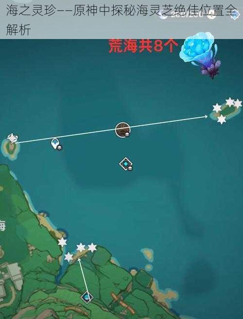 海之灵珍——原神中探秘海灵芝绝佳位置全解析