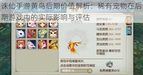 诛仙手游黄鸟后期价值解析:稀有宠物在后期游戏中的实际影响与评估