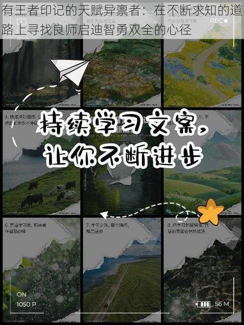 有王者印记的天赋异禀者:在不断求知的道路上寻找良师启迪智勇双全的心径