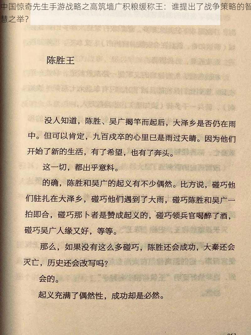 中国惊奇先生手游战略之高筑墙广积粮缓称王：谁提出了战争策略的智慧之举？